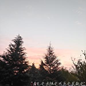 最新Av中文字幕无码专区
